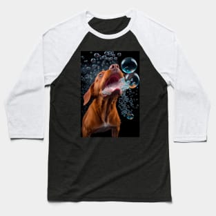 Dog in Water #2 Baseball T-Shirt